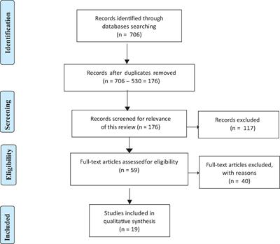 Conceptualizing psychological resilience through resting-state functional MRI in a mentally healthy population: a systematic review